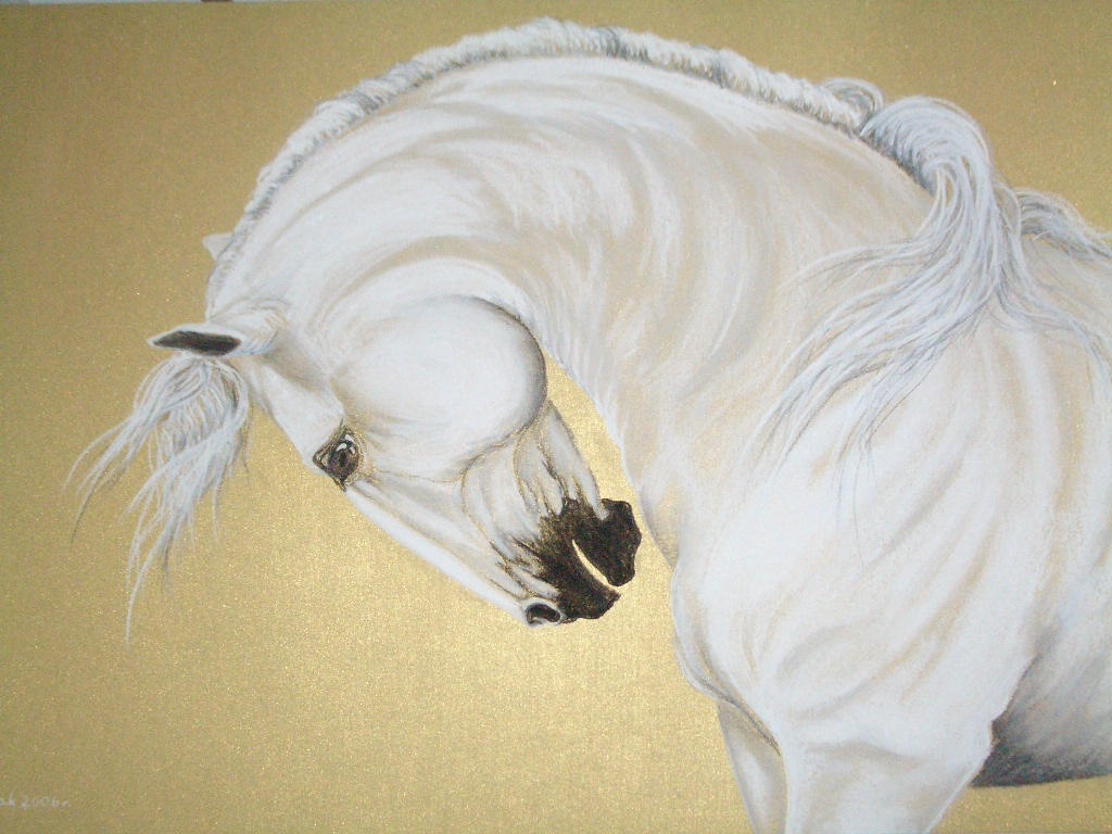 Lusitano_by_DanaScully.jpg