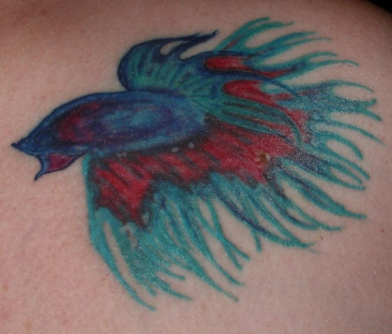 Crown Fin Betta Tattoo - shoulder tattoo