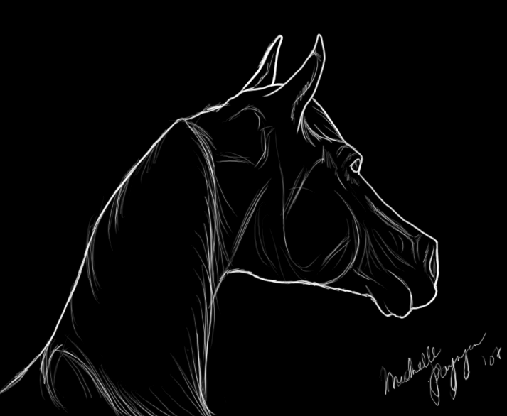 rearing horse silhouette. Horse Silhouette by