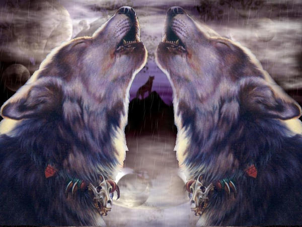 wolves wallpaper. two wolves wallpaper by