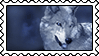 Save_the_Wolves_Stamp_by_Misaki_chi.gif