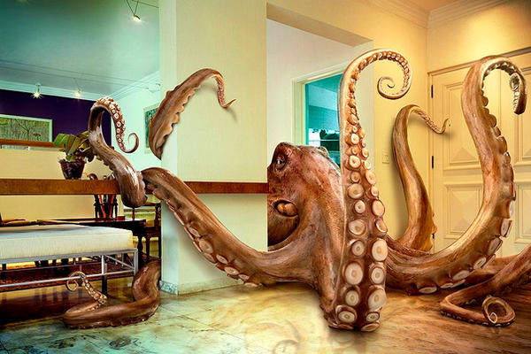 Octopus by ~leovilela