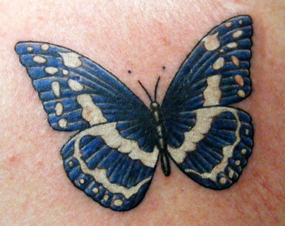 David's Butterfly: chest