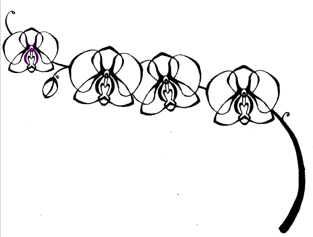 Black Orchid Drawing