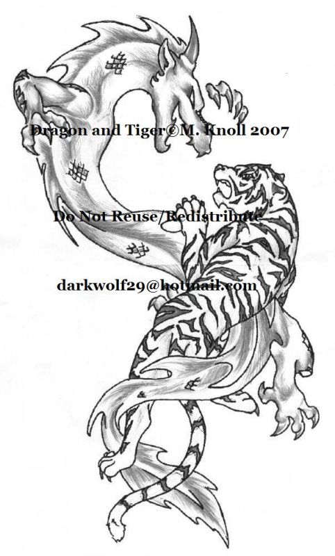 Dragon and Tiger - sleeve tattoo