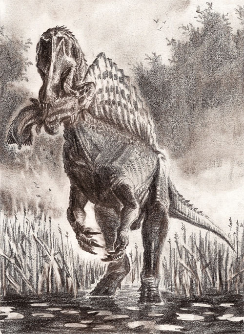Spinosaurus_aegyptiacus_by_patriatyrannus.jpg