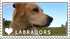 Labrador_Love_Stamp_by_cloudrat.gif