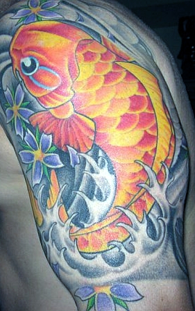 Koi - sleeve tattoo