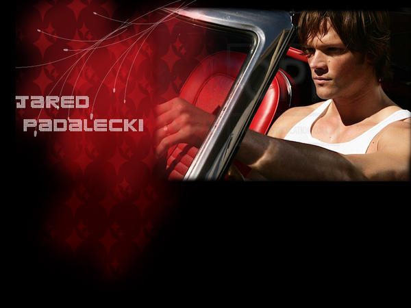 jared padalecki wallpaper. Jared Padalecki -wallpaper- by