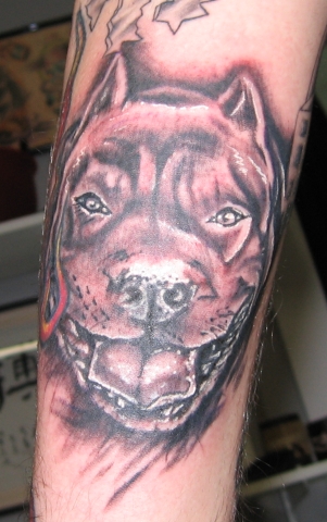Dog Portrait Tattoo by rtoriginals on deviantART