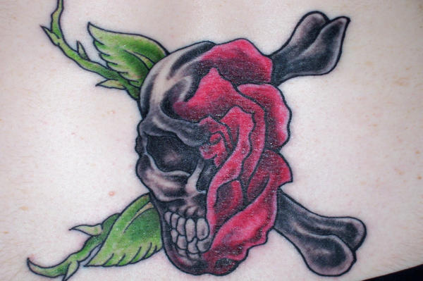 skull and rose tattoo by gothangelgirl on deviantART