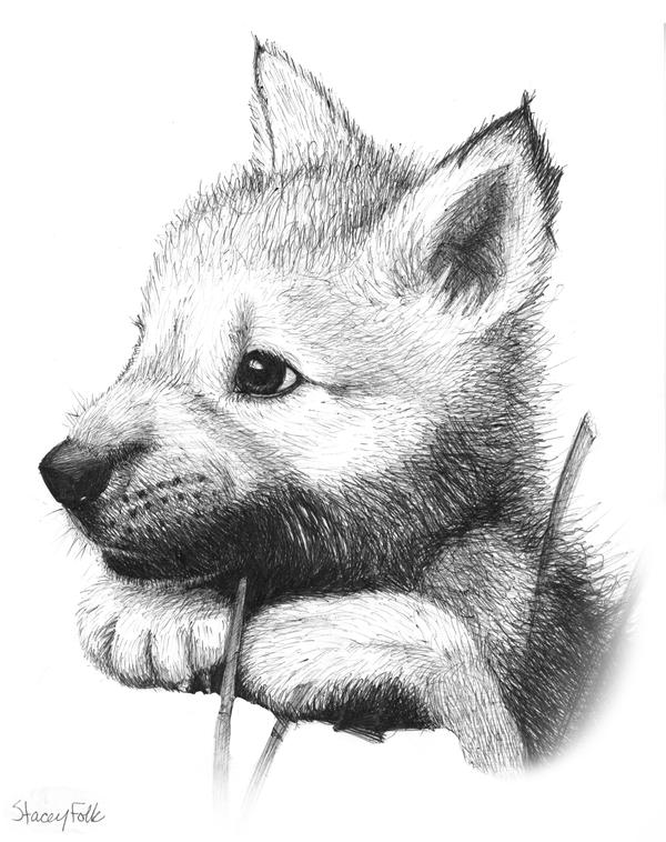 Wolf Pup V1 by iduck on DeviantArt