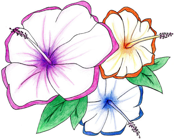 Rainbow Hawaiian Flowers by v8tiger on deviantART