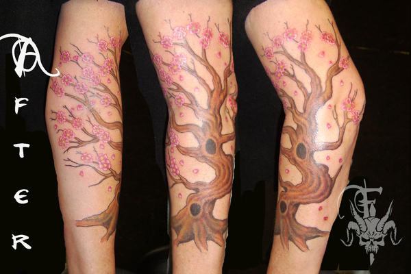 cherry blossom tree tattoo. cherry blossom tree tattoos.