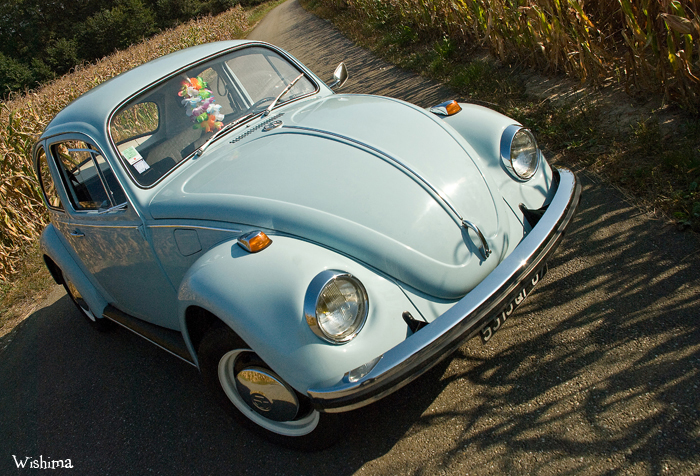 [Image: Volkswagen___Coccinelle_3_by_WisHima.jpg]