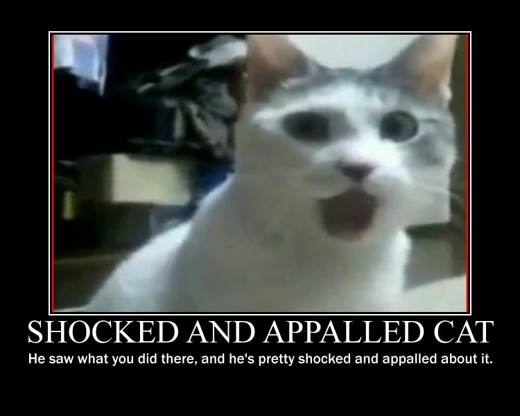 Shocked_and_Appalled_Cat_by_Rourke1708.jpg