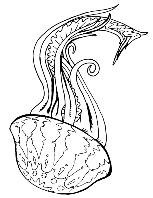 C4C Jellyfish Tattoo by