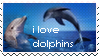 dolphins_stamp_by_decapitated_dolphins-d
