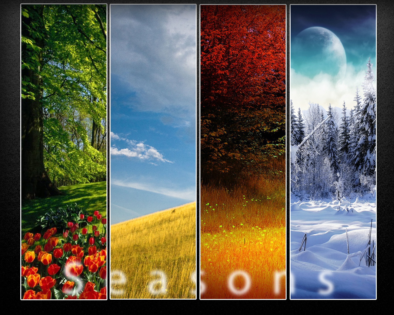 Seasons Wallpaper By Dranton17 On Deviantart HD Wallpapers Download Free Images Wallpaper [wallpaper981.blogspot.com]