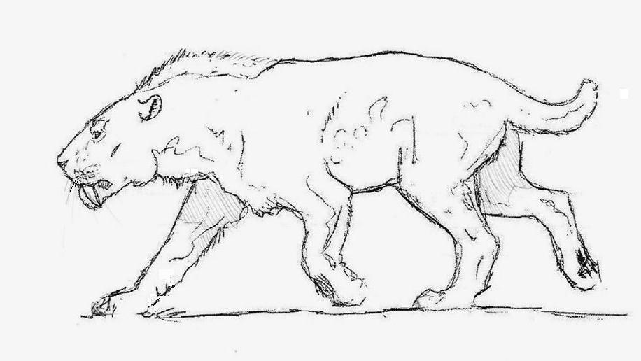 saber toothed cat coloring pages - photo #17