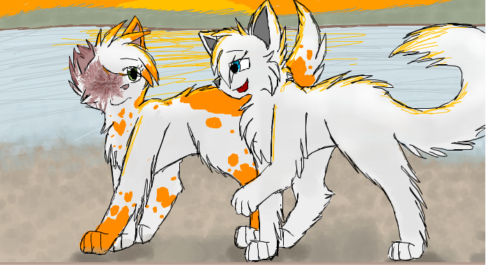 Brightheart and Cloudtail by CascadingSerenity