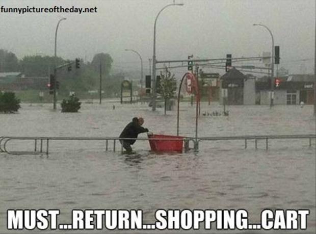 return_the_shopping_cart_funny_pictures_by_soul_eater01-d5s7x1b.jpg