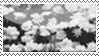 stamp_flowers_by_tuuuuuu-d6z1kw5.png