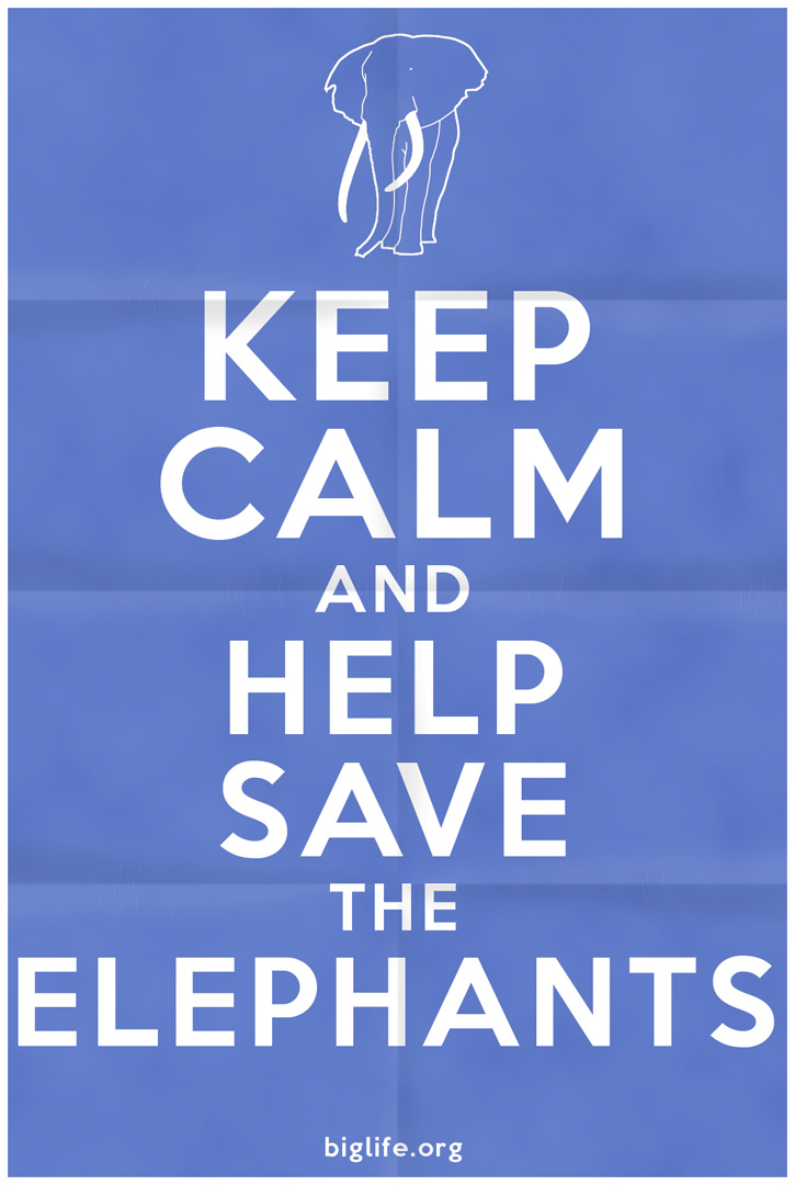 kepp_calm_save_poster_1080_by_wizardhat-