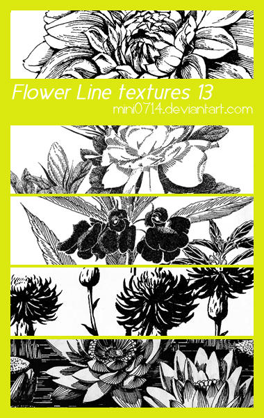 http://fc01.deviantart.net/fs70/i/2010/062/3/0/Flower_Line_textures_13_by_mini0714.jpg