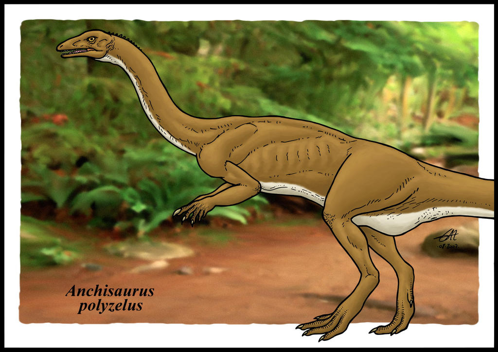 Anchisaurus by zakafreakarama