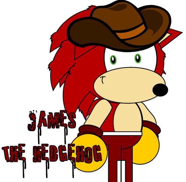 James_The_Hedgehog_by_Ashley_The_Wolf259.jpg