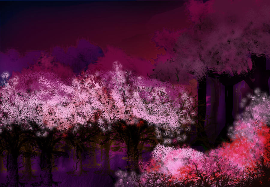 Download this Random Pink Forest Sigmamirrors picture