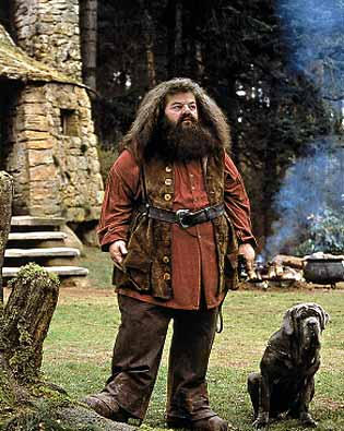 hagrid in costume harry potter