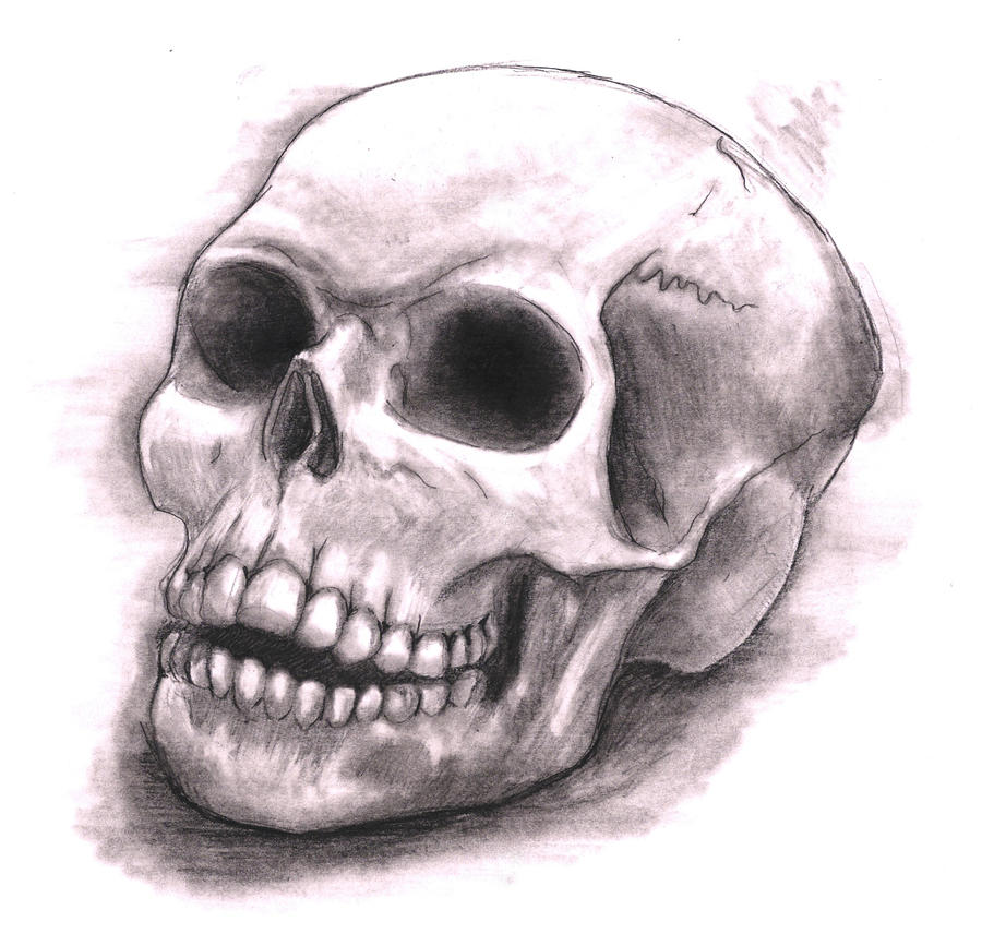 Skull drawing by ZacPensol on deviantART