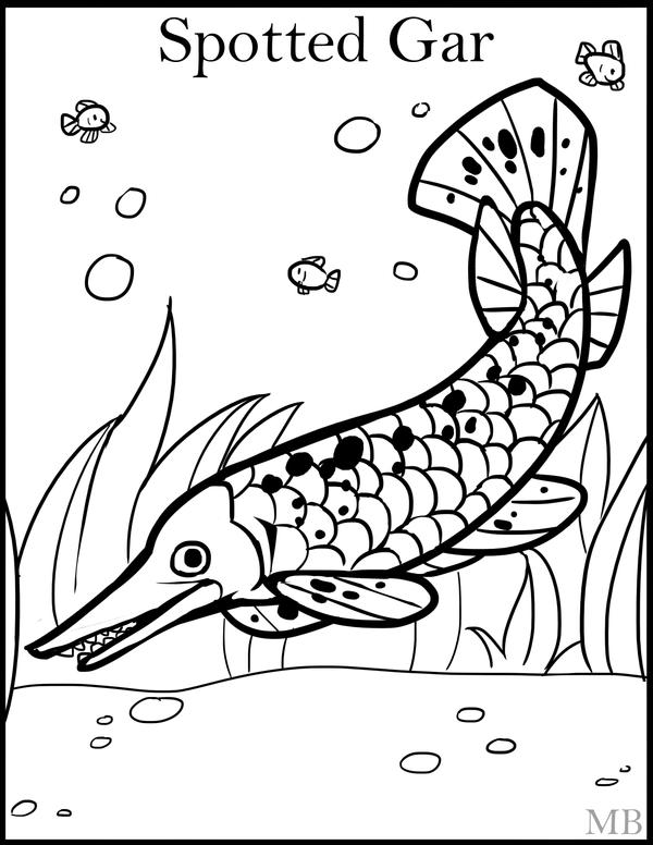 ColoringPage-Spotted Gar by MagicBunnyArt on deviantART
