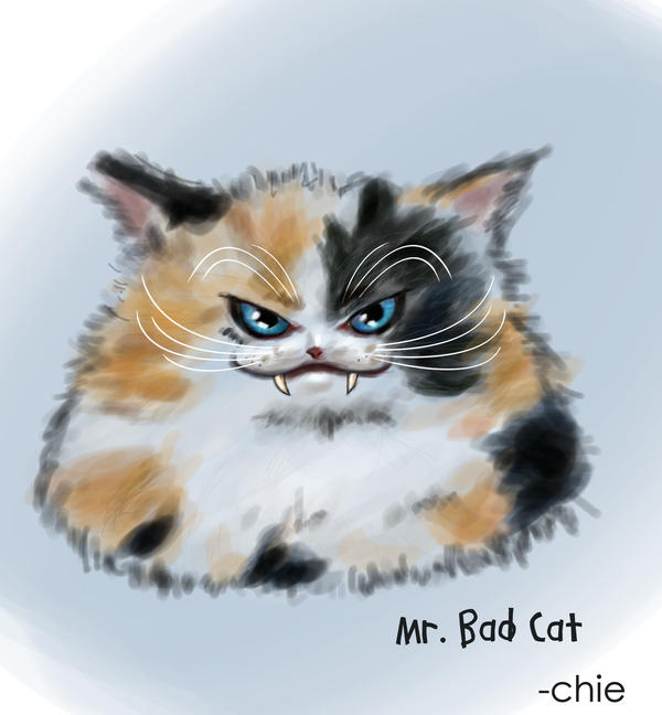 Mr. Bad Cat by xxchie on DeviantArt