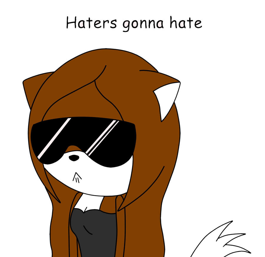 Haters Gonna Hate By Animecat33 On Deviantart