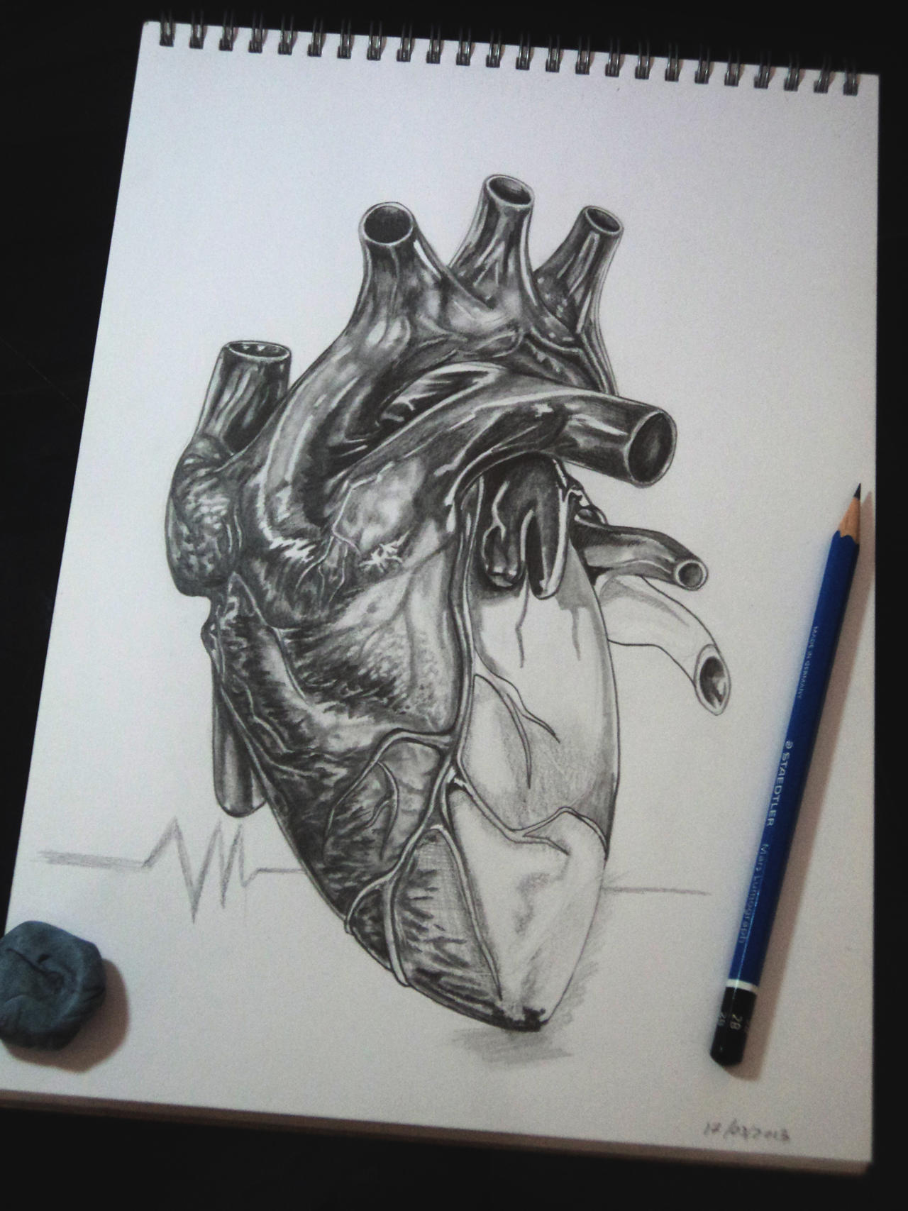 Human heart by tubyx on DeviantArt