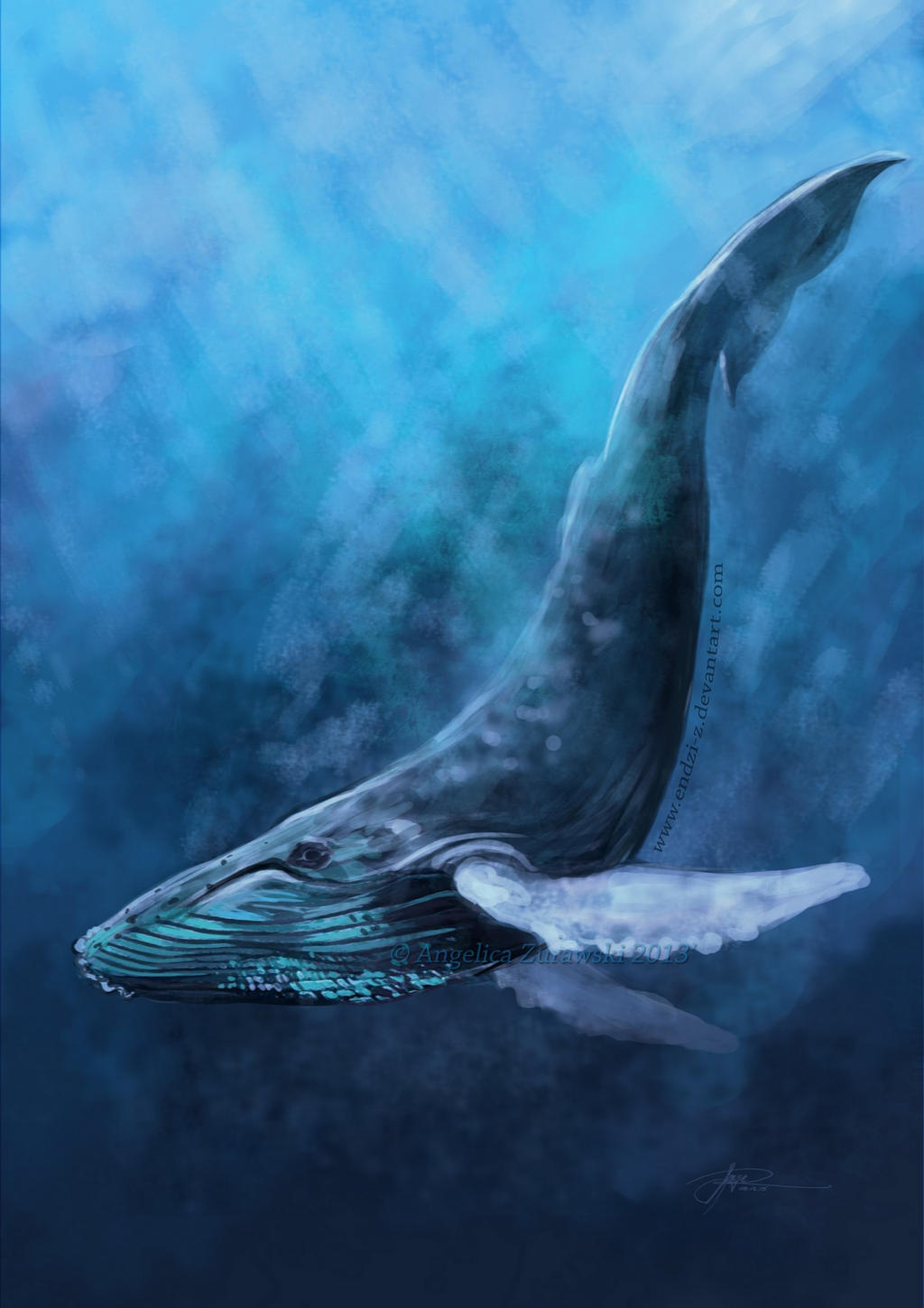 [Image: humpback_whale_by_endzi_z-d6zomqk.jpg]