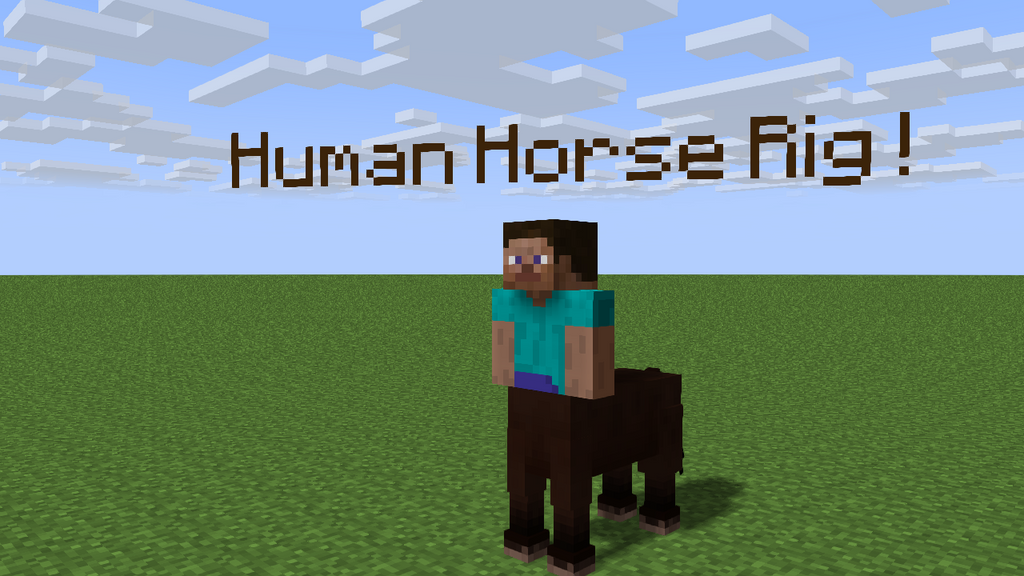 human___horse_rig_by_yuri8000-d7ycmqg.pn