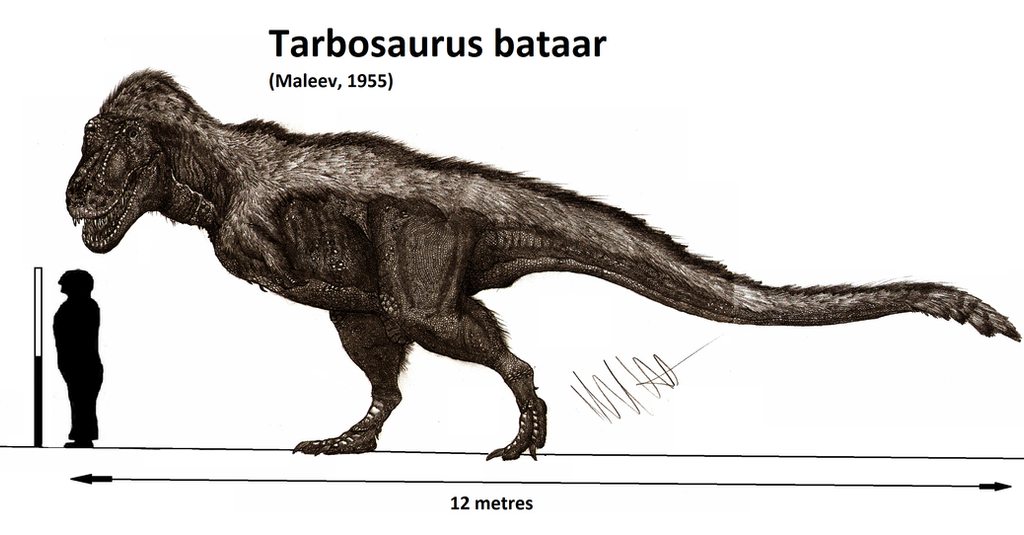 tarbosaurus_bataar_by_teratophoneus-d8bjhal.png