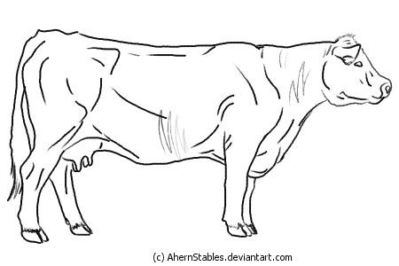 Old Hereford Cow line art by AhernStables on deviantART