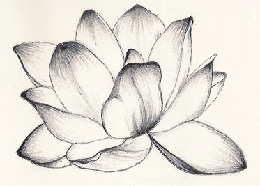 Lotus - flower tattoo