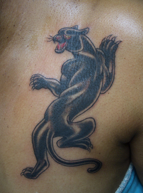 05.08.2010 black panther - chest tattoo