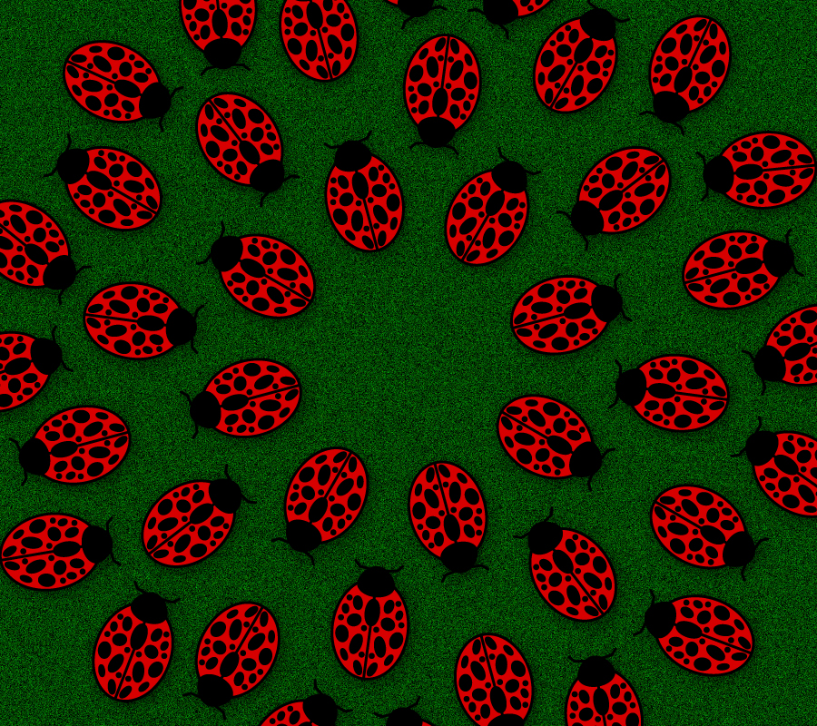 ladybug wallpaper. Ladybug Wallpaper by ~capt2001