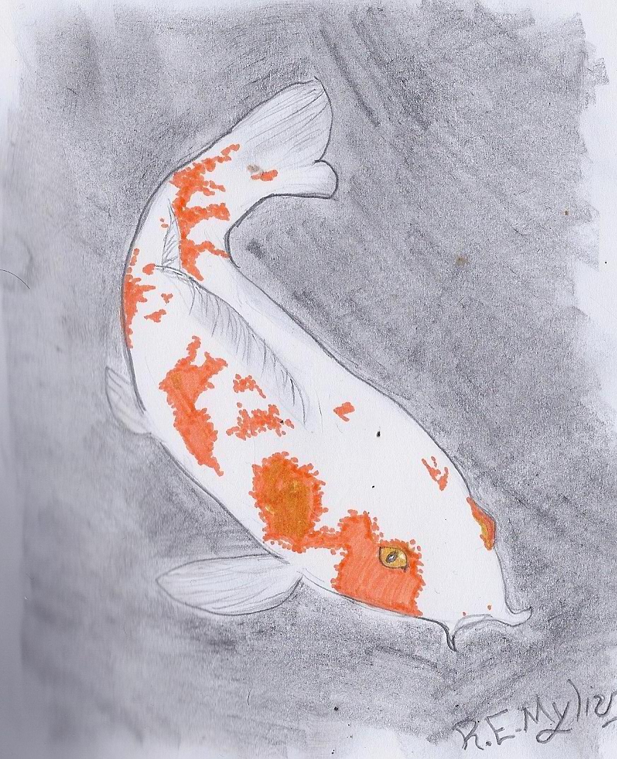 Koi Fish by REMylius on deviantART