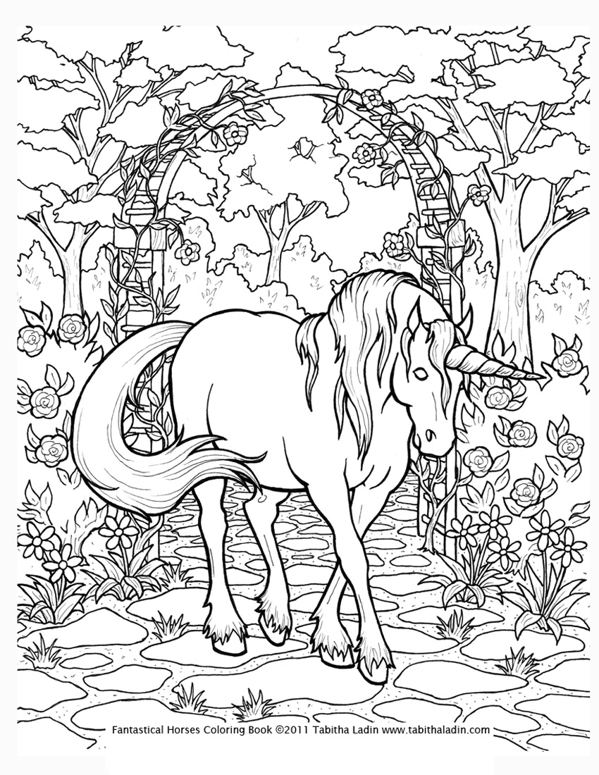 d sloan complicated coloring pages - photo #49