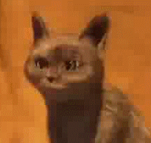 [Image: ohhh_cat_by_kaitoudark19-d4m6696.gif]