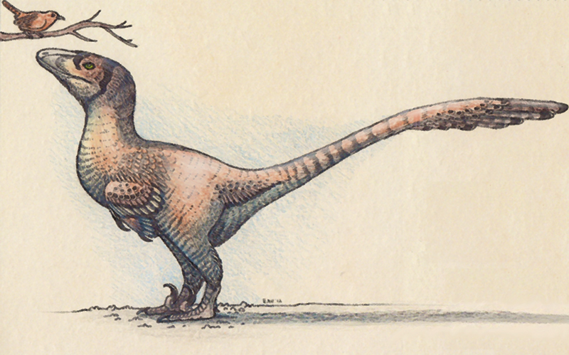 deinonychus_with_wren_by_ewilloughby-d53lhhh.jpg
