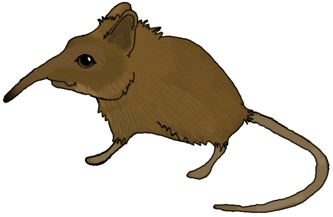 alvin_the_shrew_by_munsteh-d57gz53.png